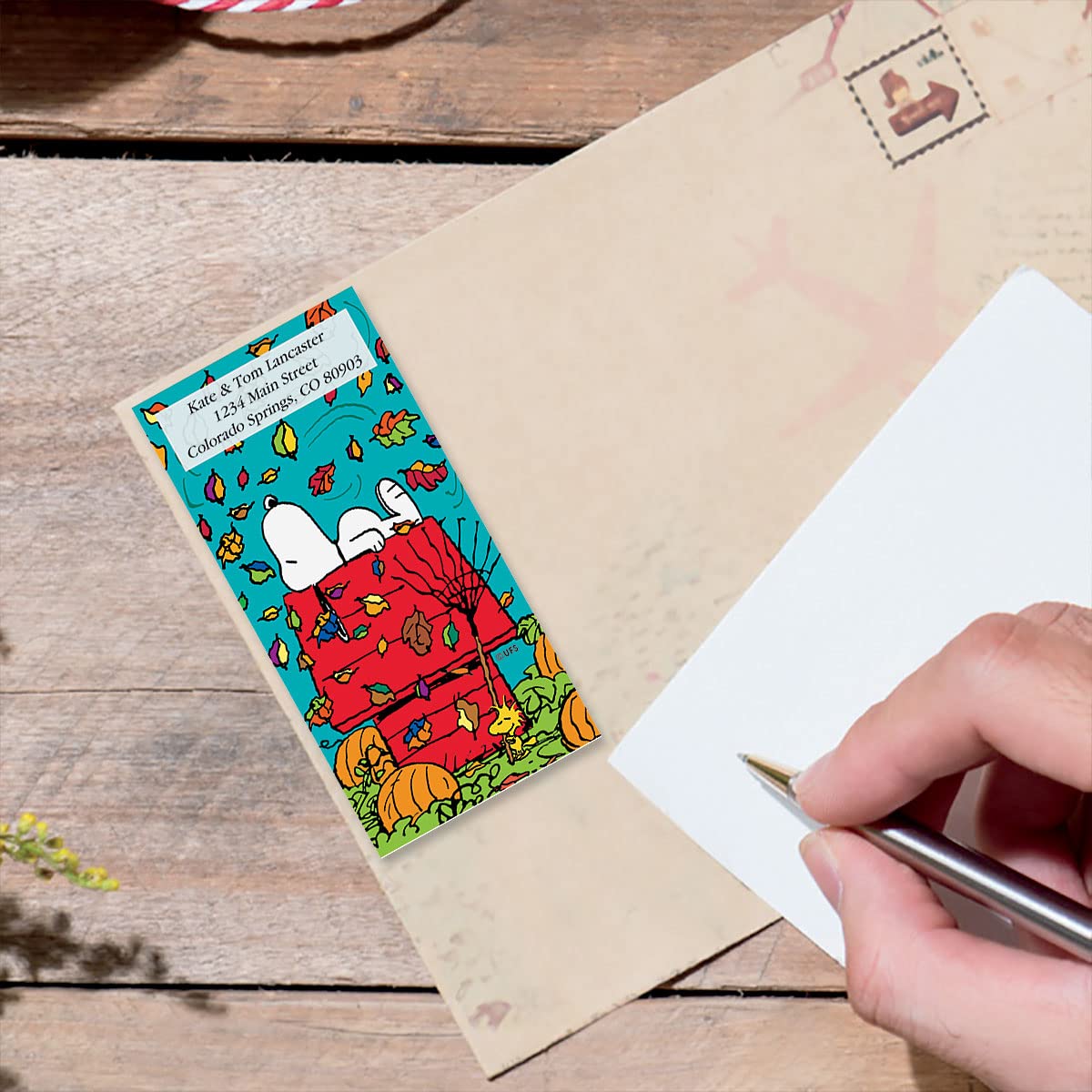 Amazon.com : Colorful Images Snoopy 4 Seasons Oversized